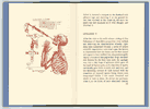 Spread showing a collage illustration and text from <i>The Marvels of Professor Pettingruel</i>.